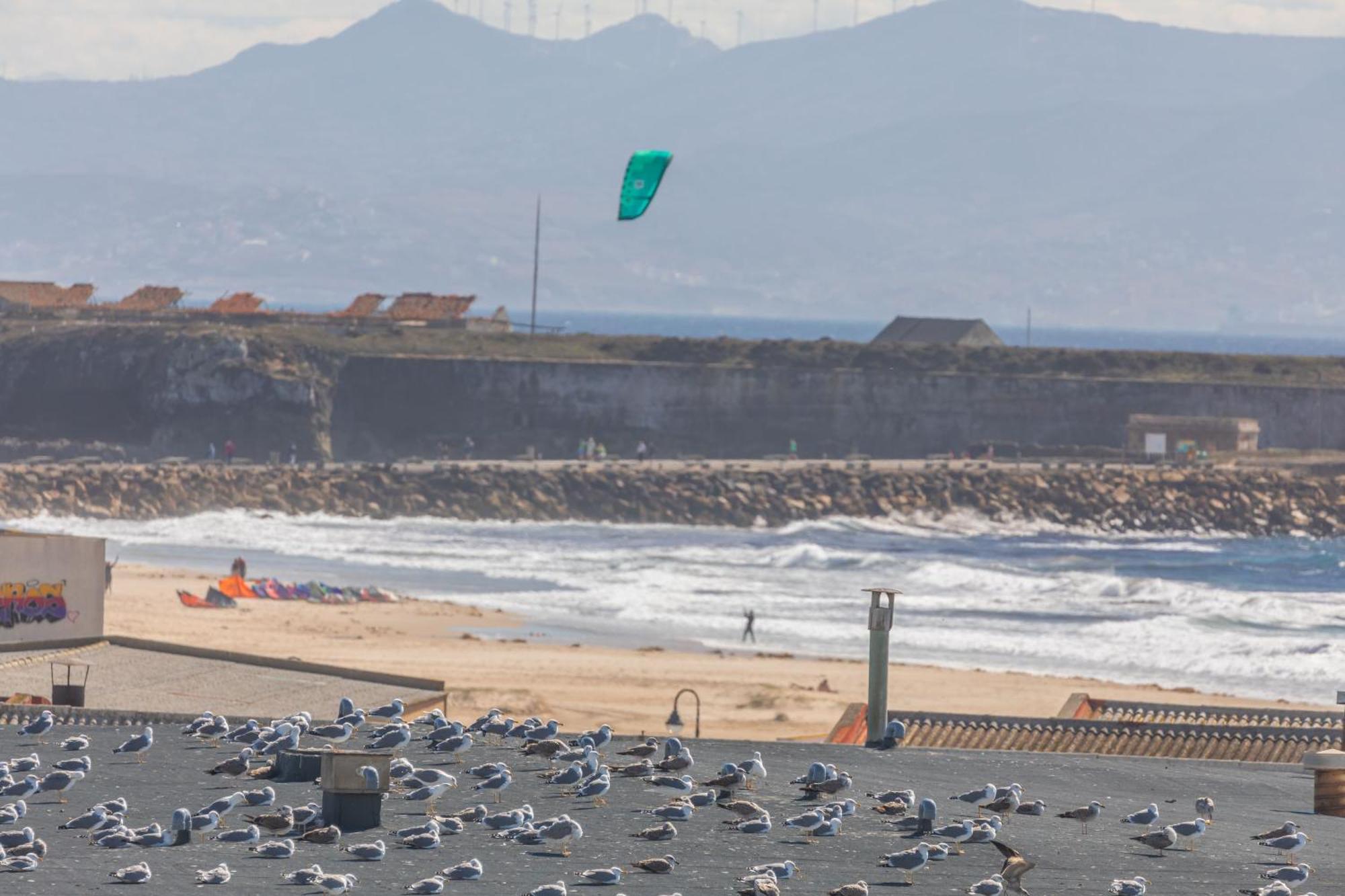 Los Lances Beach Apartments Tarifa Dış mekan fotoğraf